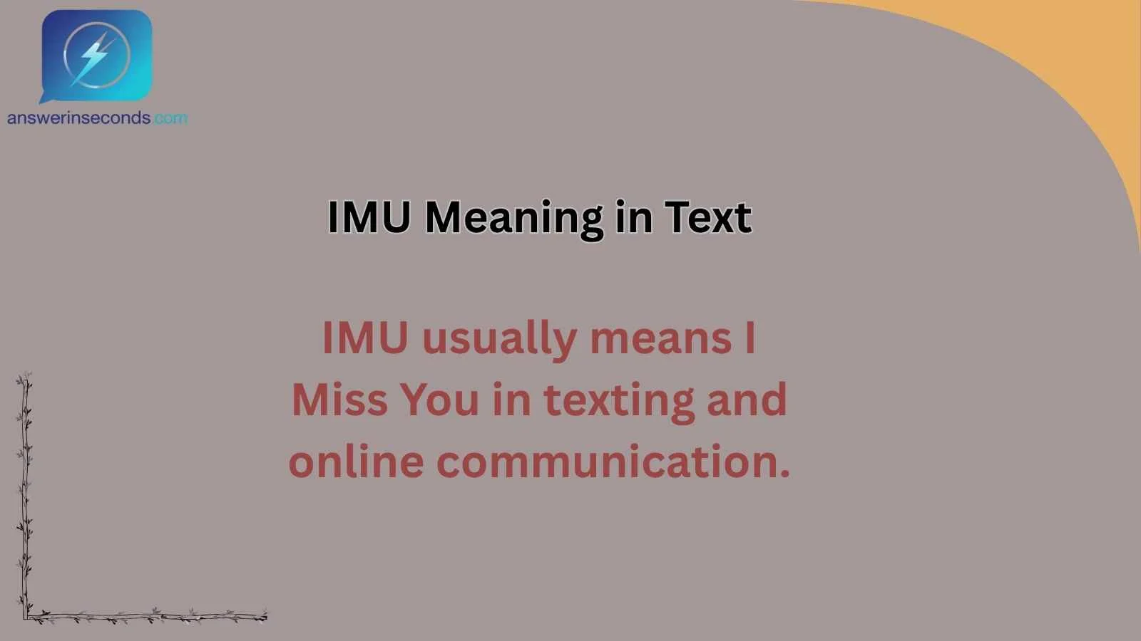 IMU Meaning in Text