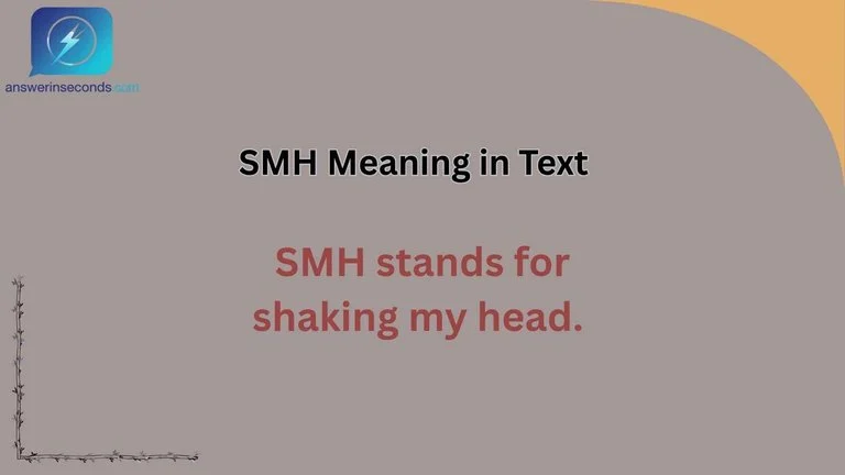 SMH Meaning in Text