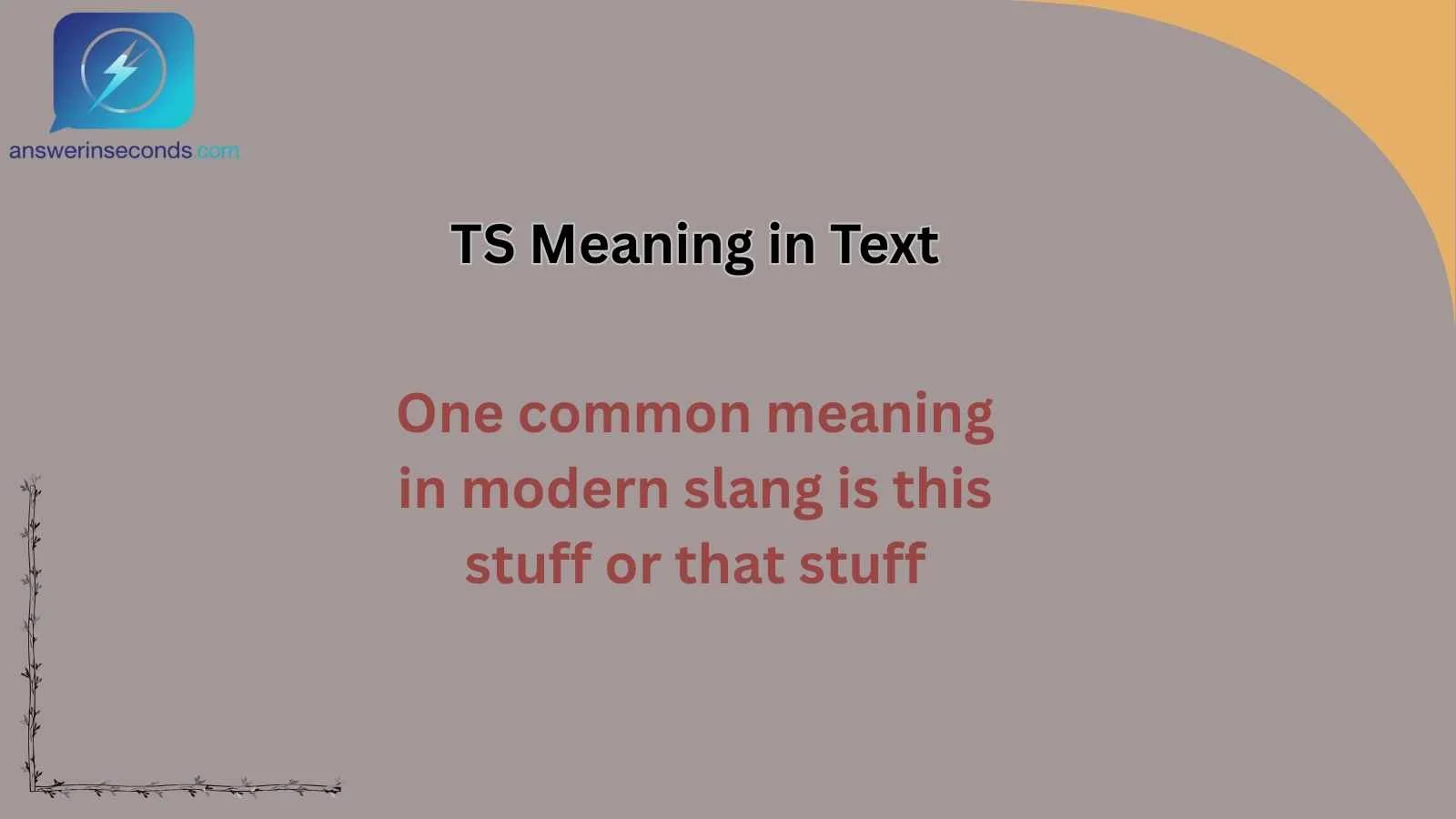 TS Meaning in Text