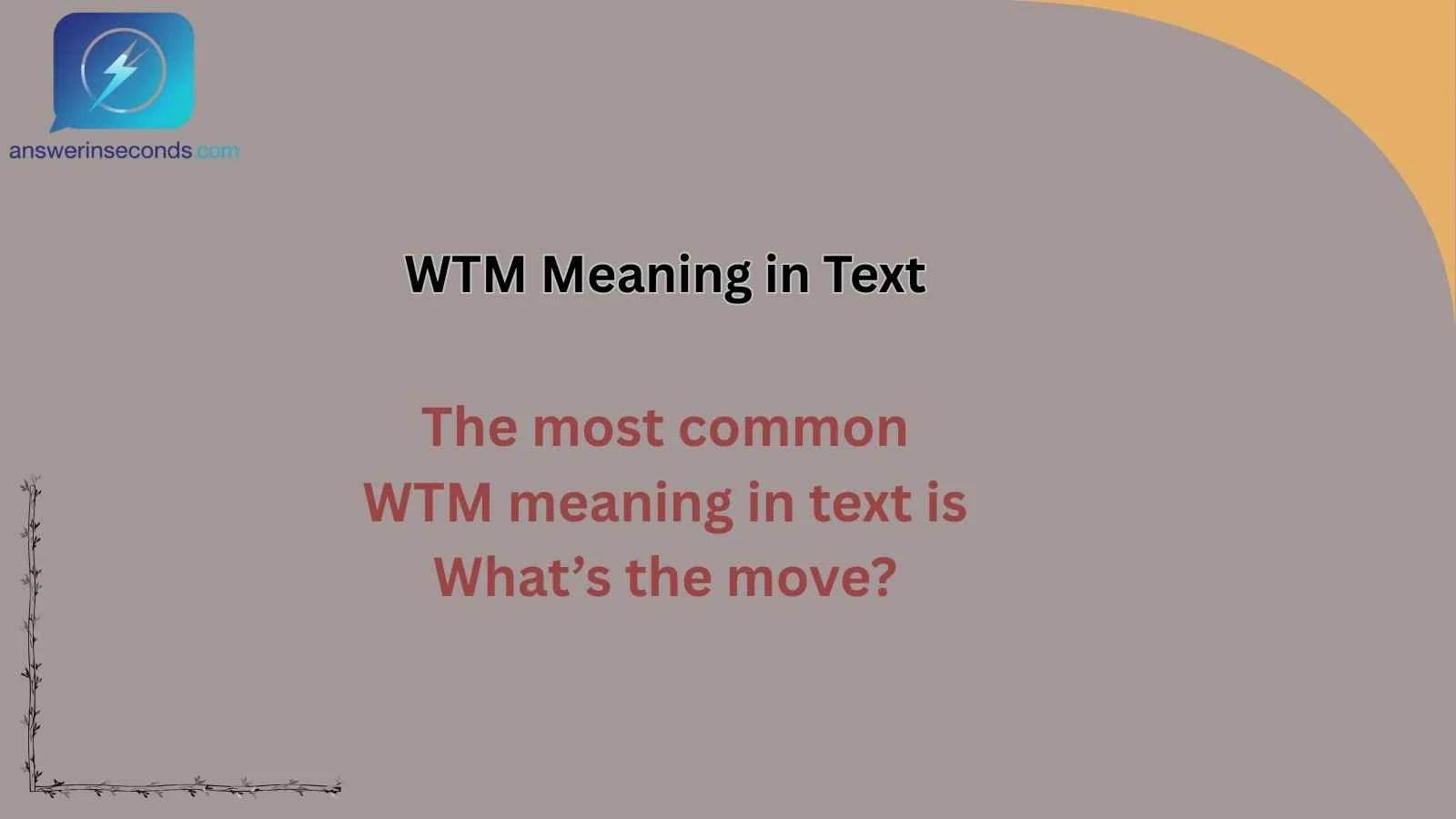 WTM Meaning in Text